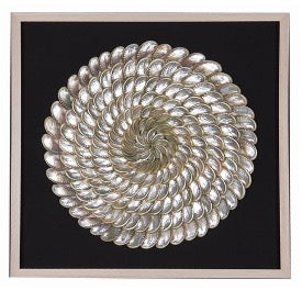 Shells Framed Art