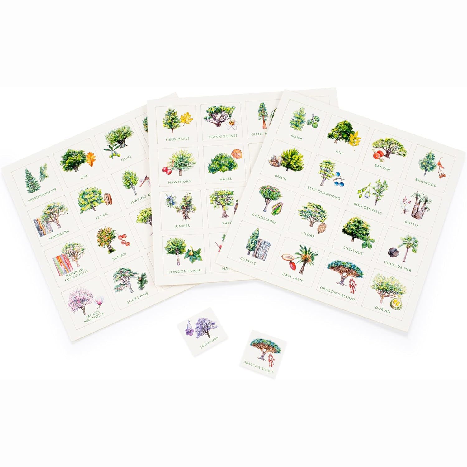 Tree Bingo