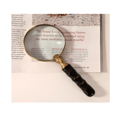 Antique Brass & Bamboo-Style Bone Magnifier