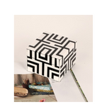 Square Monochrome Geometric Box