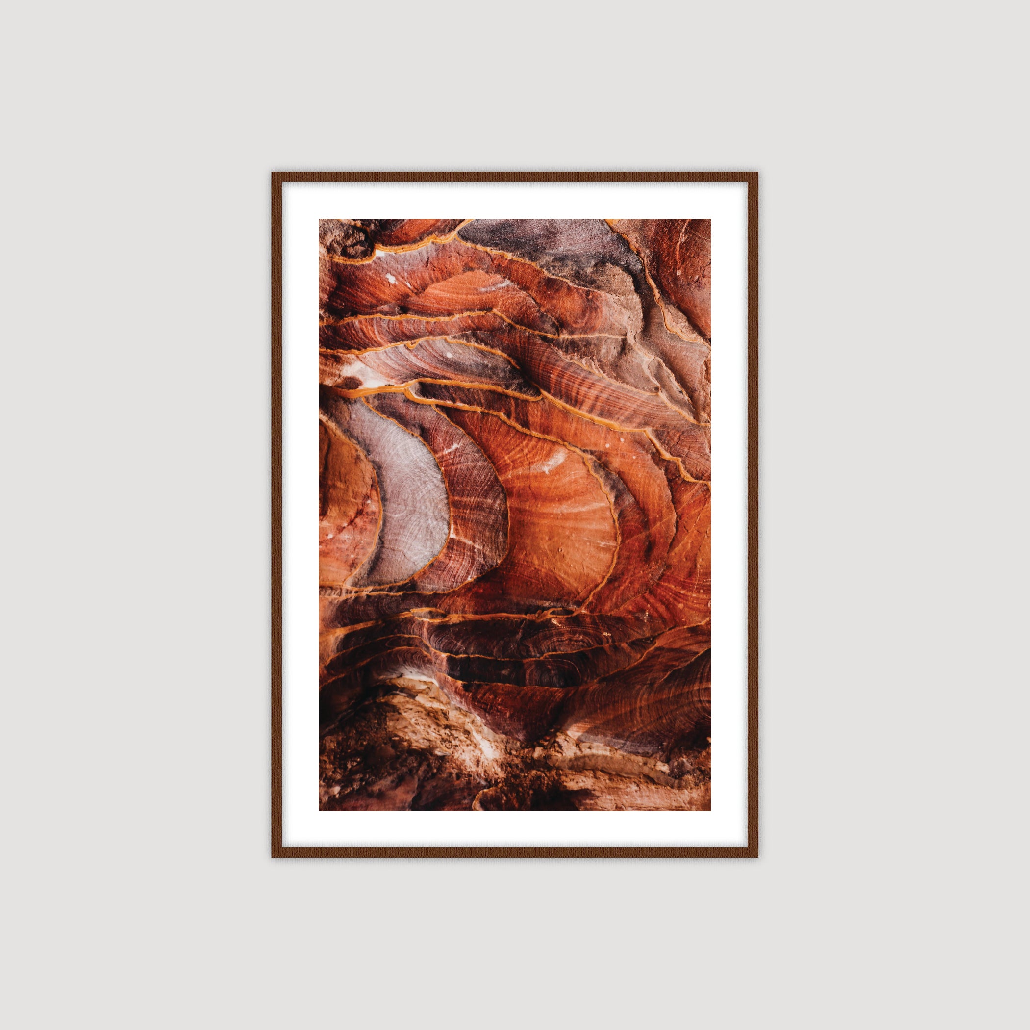 Petra Red Rose City I by Tareq Zaghal