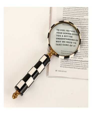 Chequered Artisan Desk Magnifier