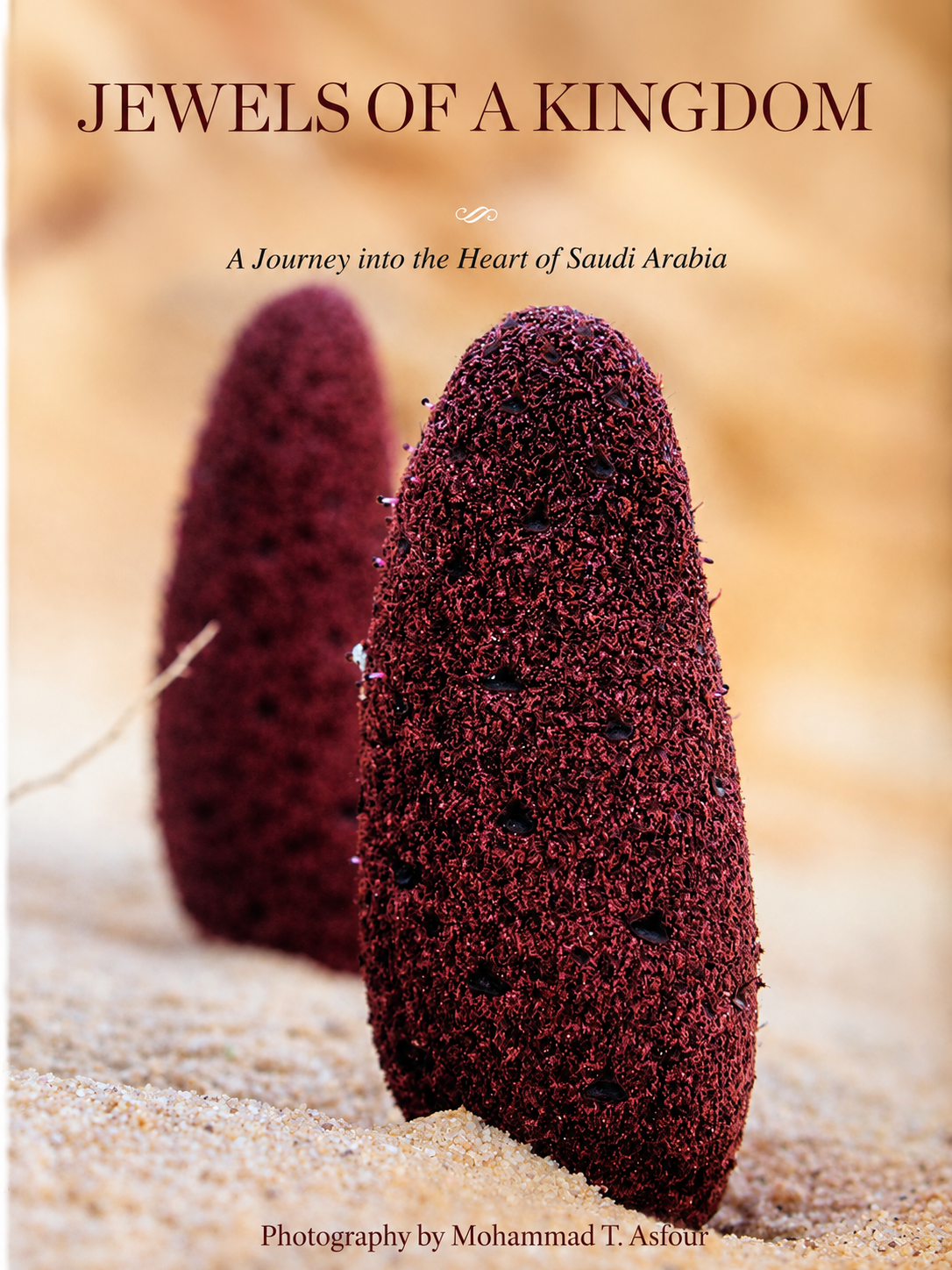 Jewels Of A Kingdom by Mohammad Asfour